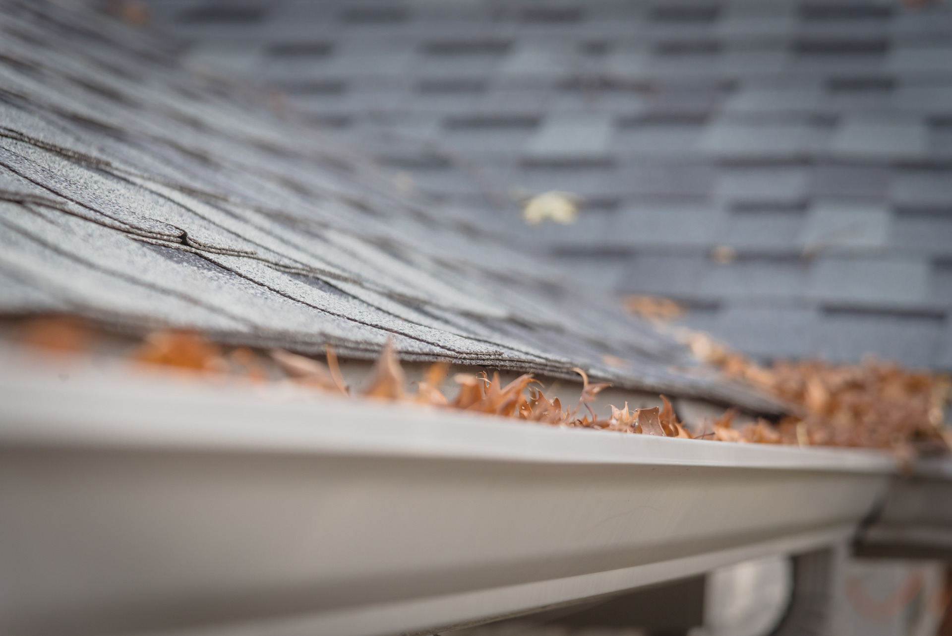 Leaf Filters and Their Role in Preventing Gutter Clogging